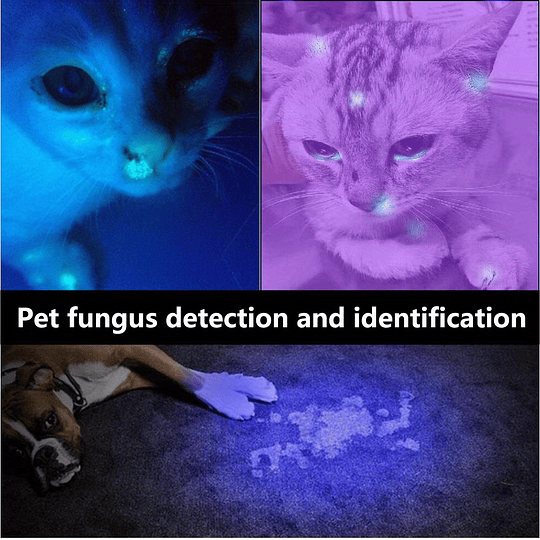 9 LED de luz ultravioleta 395-400nm Lanterna LED UV, mini tocha para curar a identificação de minério de dinheiro Detector de alimentos mofados, manchas de animais de estimação domésticos Ver