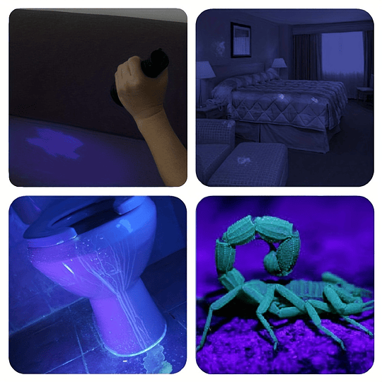 9 LED de luz ultravioleta 395-400nm Lanterna LED UV, mini tocha para curar a identificação de minério de dinheiro Detector de alimentos mofados, manchas de animais de estimação domésticos Ver